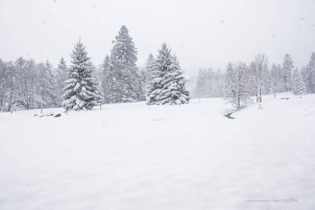 Chalet Charligustine - Gerardmer - 8P Buitenkant foto