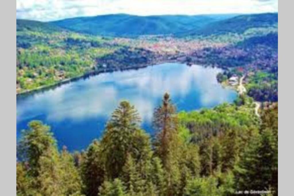 Chalet Charligustine - Gerardmer - 8P Buitenkant foto